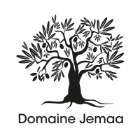 Pixel conseil logo client